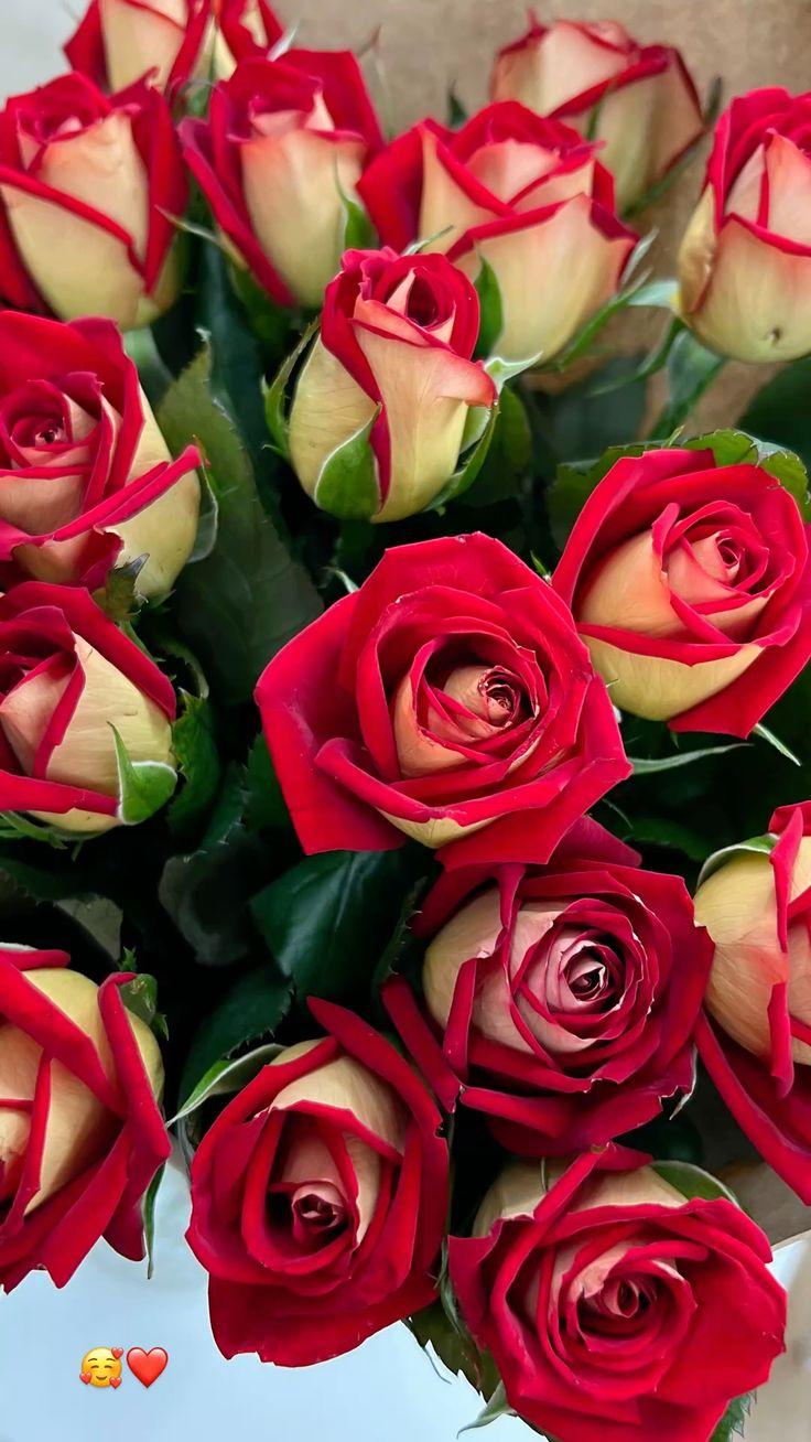 Whispers of Nature's Awakening Bouquet