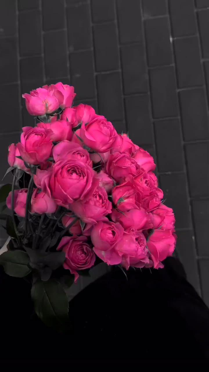 Velvet Petal Cascade: A Floral Symphony